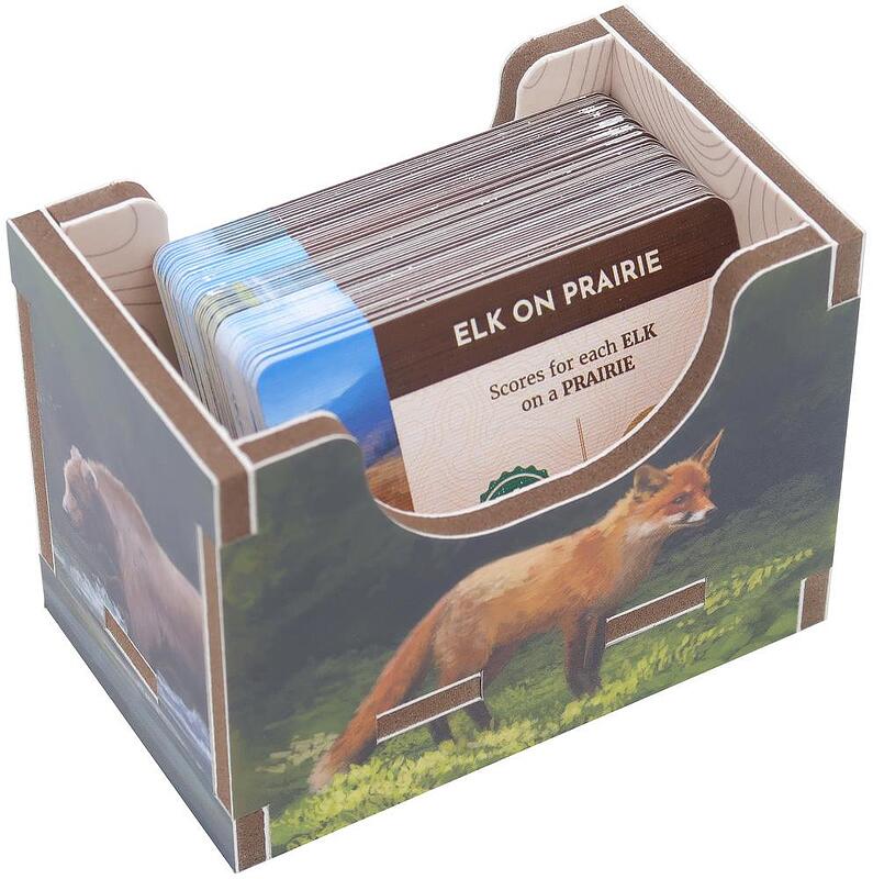 FOX -Cascadia Folded Space Box Insert