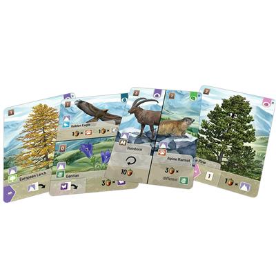 FOX -Forest Shuffle: Alpine Expansion
