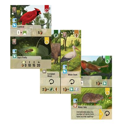 FOX -Forest Shuffle: Exploration Expansion