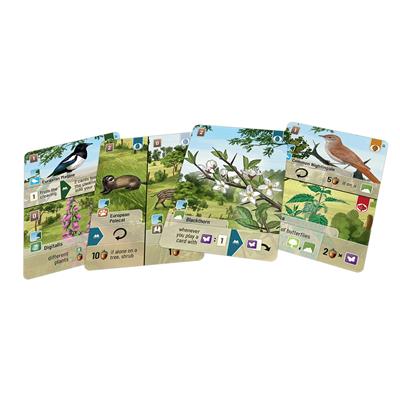 FOX -Forest Shuffle: Woodland Edge Expansion
