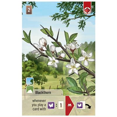 FOX -Forest Shuffle: Woodland Edge Expansion