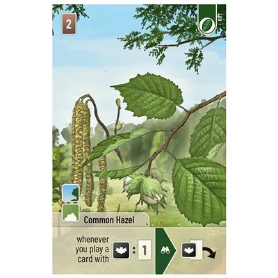 FOX -Forest Shuffle: Woodland Edge Expansion
