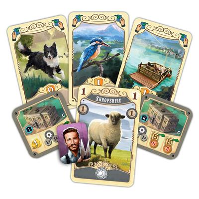 FOX -Great Western Trail: New Zealand (Ding & Dent)