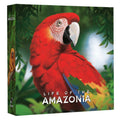 FOX -Life of the Amazonia (Ding & Dent)