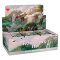 FOX -Magic: The Gathering - Modern Horizons 3 Play Booster Box