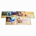 FOX -Spirit Island: Core Game Foil Panels
