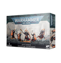 FOX -Warhammer 40K: Adepta Sororitas - Celestian Sacresants