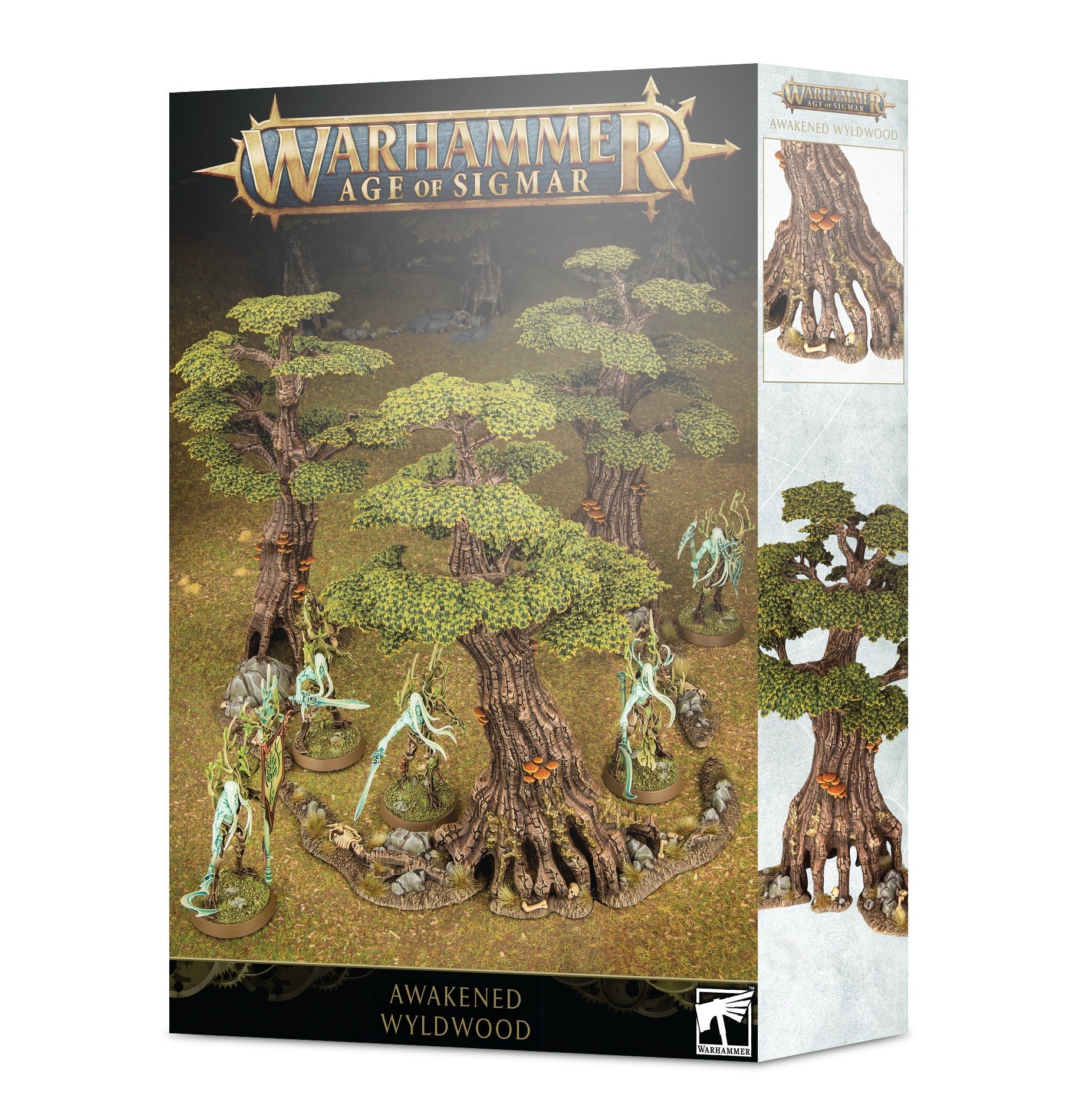 FOX -Warhammer Age of Sigmar: Awakened Wyldwood
