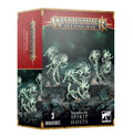 FOX -Warhammer Age of Sigmar: Nighthaunt Spirit Hosts