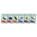 FOX -Wingspan Fan-Designed Promo Display Set